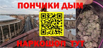 крисы Аша