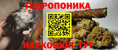 марихуана Ачхой-Мартан