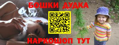 крисы Аша