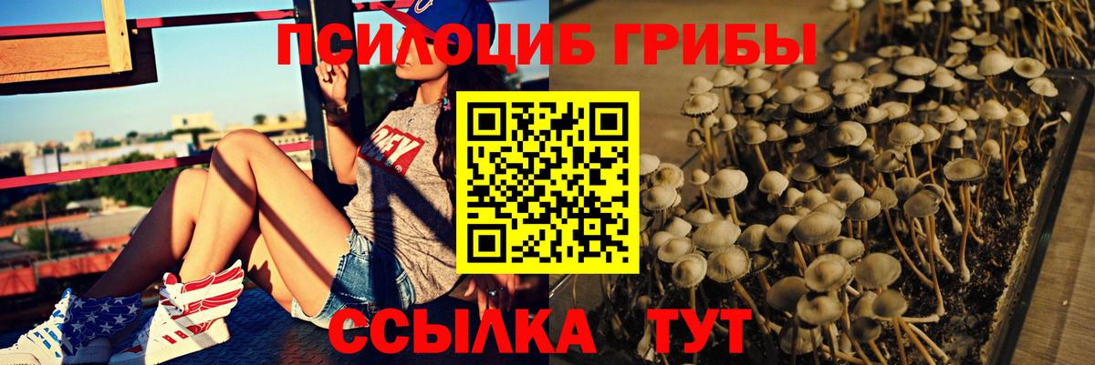 Галлюциногенные грибы GOLDEN TEACHER  Вход с VPN  Владимир 